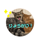 うるちゃとスタンプ2（個別スタンプ：7）