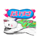 ウエスティのサンデー（個別スタンプ：13）