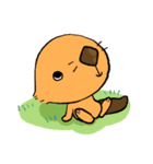 ラッコのテトラ（個別スタンプ：1）