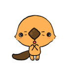 ラッコのテトラ（個別スタンプ：3）