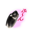 ネザーランド野良ハーフうさぎのお返事（個別スタンプ：11）