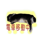 ネザーランド野良ハーフうさぎのお返事（個別スタンプ：29）