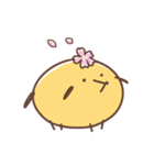 もちぽよわんこ。2（個別スタンプ：5）