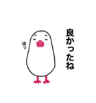 文鳥のマリ 日日是好日②（個別スタンプ：13）