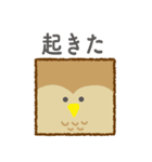 しかくあにまるず（個別スタンプ：17）