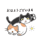 なにのむ？ねこ 2（個別スタンプ：2）