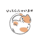 なにのむ？ねこ 2（個別スタンプ：15）