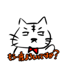 猫のあのこ。（個別スタンプ：13）