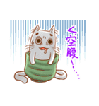 ゆのみねこ ゆのさん（個別スタンプ：13）