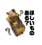 スガハムチャンズ（個別スタンプ：20）