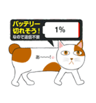 にゃんわりお終い（個別スタンプ：24）