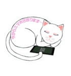 にゃんわりお終い（個別スタンプ：30）