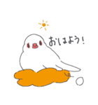 文鳥ときどき十姉妹（個別スタンプ：1）