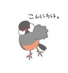 文鳥ときどき十姉妹（個別スタンプ：2）