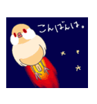 文鳥ときどき十姉妹（個別スタンプ：3）