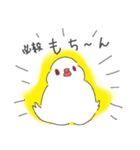 文鳥ときどき十姉妹（個別スタンプ：5）