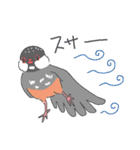 文鳥ときどき十姉妹（個別スタンプ：6）