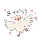 文鳥ときどき十姉妹（個別スタンプ：9）