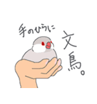 文鳥ときどき十姉妹（個別スタンプ：10）