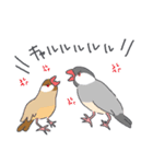 文鳥ときどき十姉妹（個別スタンプ：11）