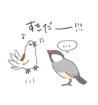 文鳥ときどき十姉妹（個別スタンプ：15）