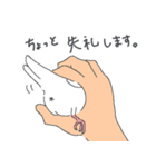 文鳥ときどき十姉妹（個別スタンプ：16）