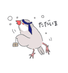 文鳥ときどき十姉妹（個別スタンプ：20）