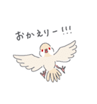 文鳥ときどき十姉妹（個別スタンプ：21）