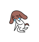 み犬(けん)（個別スタンプ：24）