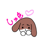 み犬(けん)（個別スタンプ：27）