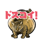 ニャー！気ままな猫族（個別スタンプ：2）