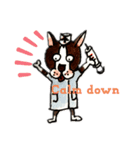 Boston terrier Jack（個別スタンプ：5）