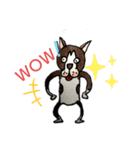 Boston terrier Jack（個別スタンプ：7）