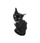 キキにゃんが喋る（個別スタンプ：5）