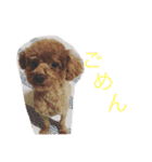 すわはらfam（個別スタンプ：11）