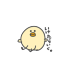 ひよまるさん。①（個別スタンプ：1）