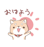 豆しば犬 しばわん 日常で使える（個別スタンプ：3）