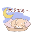 豆しば犬 しばわん 日常で使える（個別スタンプ：4）