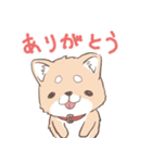 豆しば犬 しばわん 日常で使える（個別スタンプ：5）