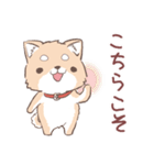 豆しば犬 しばわん 日常で使える（個別スタンプ：6）