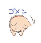 豆しば犬 しばわん 日常で使える（個別スタンプ：7）