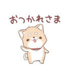 豆しば犬 しばわん 日常で使える（個別スタンプ：9）