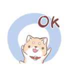 豆しば犬 しばわん 日常で使える（個別スタンプ：11）