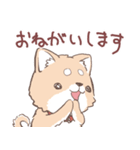 豆しば犬 しばわん 日常で使える（個別スタンプ：13）
