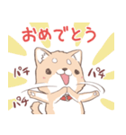 豆しば犬 しばわん 日常で使える（個別スタンプ：14）