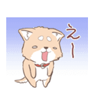 豆しば犬 しばわん 日常で使える（個別スタンプ：16）