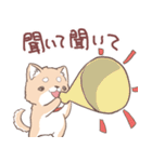 豆しば犬 しばわん 日常で使える（個別スタンプ：17）