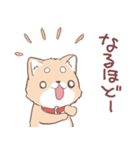 豆しば犬 しばわん 日常で使える（個別スタンプ：18）