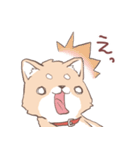 豆しば犬 しばわん 日常で使える（個別スタンプ：20）