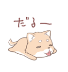 豆しば犬 しばわん 日常で使える（個別スタンプ：21）